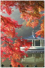 Poszterek 80x120 Őszi meditációk