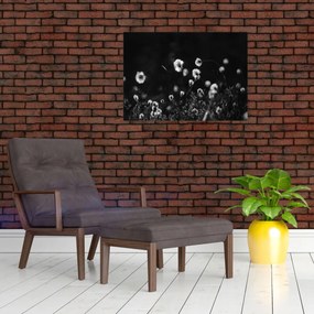 Kép - Gyapotfűvel borított rét N⁰1 (70x50 cm)