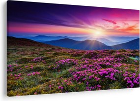 Kép - Hegyi virágzó táj (90x60 cm)
