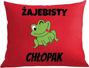 Párna párnahuzat Ajándék Békás Fiú