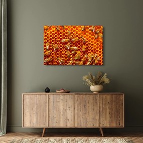 Kép - Méhsejtes (90x60 cm)