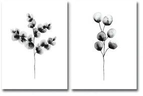 Galilo 2 részes fali kép - Wallity