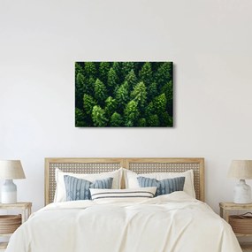 Kép - Forest (90x60 cm)