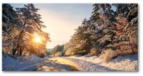 Akril üveg kép Az út a téli erdőben oah-77332313