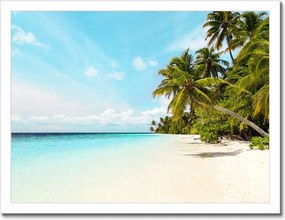 Poszterek keretben 40x30 Trópusok Tájkép Pálmafák