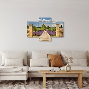 Kép - Levendula ösvények (90x60 cm)