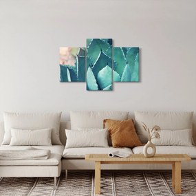 Kép - Szukulent (90x60 cm)