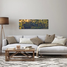Kép - szőlőültetvény (órával) (90x30 cm)