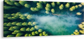 Kép - Egy ködbe burkolt erdő (120x50 cm)