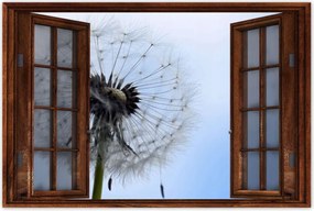 Poszterek 90x60 Hétköznapi pitypang