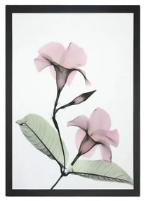 Kép 24x29 cm Green Branch – Vavien Artwork