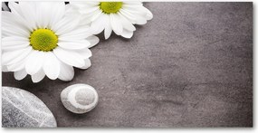 Fotótapéta falra edzett üveg Gerbera 140x70