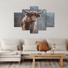 Kép - Highlander tehén (150x105 cm)