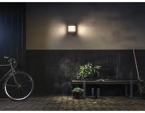 Philips 17273/93/16 - LED Kültéri lámpa MYGARDEN RACCOON 1xLED/3W/230V IP44