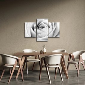 Kép - Rózsa virág részlete (90x60 cm)
