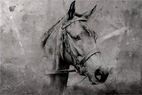 Kép - Egy ló portréja (90x60 cm)