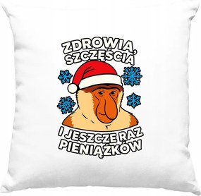 Karácsonyi Kívánságpárna Pénz Fehér