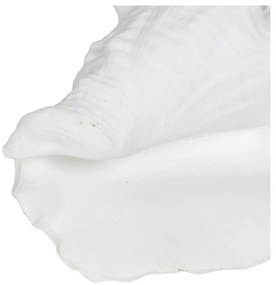Poligyanta szobor (magasság 13 cm) Seashell – Ixia