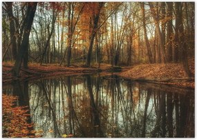 Poszterek A4 Szint Őszi táj Tájkép