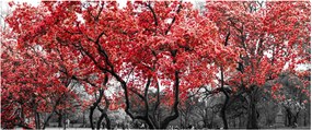 Kép - vörös fák, Central Park, New York (120x50 cm)