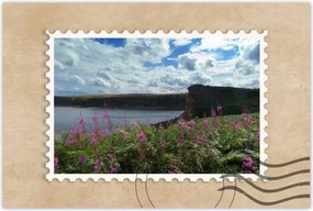 Poszterek 120x80 Lila virágok