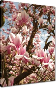 Vászonkép 60x80 Magnólia Virágok Kék