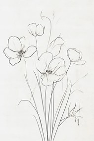 Vászonkép Canvas Grafika Line Art Rajz Vázlat Pipacs Virágok 80x120
