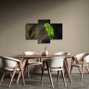 Papagáj egy ágon képe (90x60 cm)