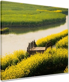 Vászonkép 40x40 Tájkép Látvány