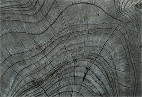 Flizelina fotótapéta Nappaliba és Hálószobába Befőttesüveg mintás 152x104 Ragasztó