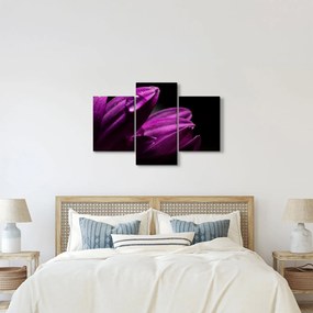 Kép - Vízcsepp (90x60 cm)