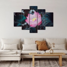 Rózsaszín virág képe (150x105 cm)