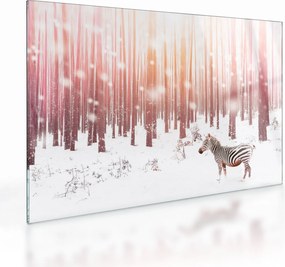 Kép - Zebra egy havas erdőben (üvegen) (70x50 cm)