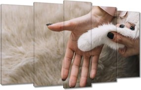 Vászonkép 100x60 Cica Cicák