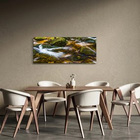 Patak képe (120x50 cm)