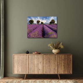 Kép - Levendula mező és hegyek (70x50 cm)