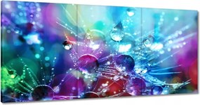 Vászonkép 120x60 Pitypang pitypang