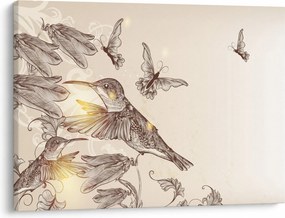 Kép - Kolibri (70x50 cm)