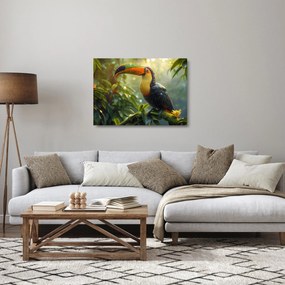 Üveg kép - Tukan (70x50 cm)