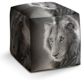 Cube zsámoly oroszlánkölyök, szürke
