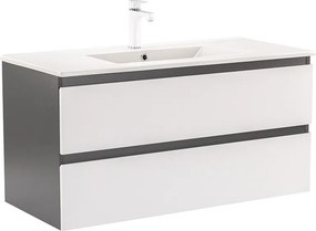 Vario Forte 100 Fürdőszoba alsó szekrény mosdóval
