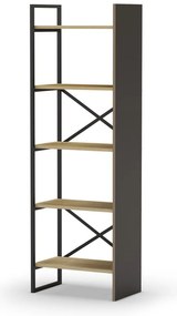 Natúr színű könyvespolc tölgyfa dekorral 58x175 cm Ara – Marckeric