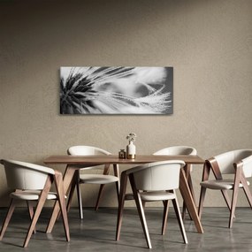 Kép - Makró, fekete-fehér (120x50 cm)