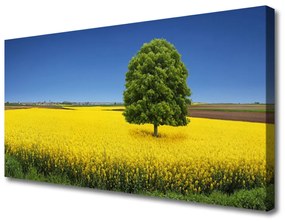 Canvas kép Fa Mező Természet Field 125x50 cm