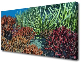 Canvas kép Barrier Reef Nature 125x50 cm