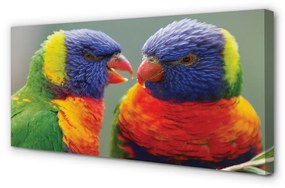 Canvas képek színes papagáj 140x70 cm
