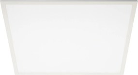 Light Impressions Deko-Light Basic Flex 220-240V AC/50-60