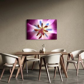 Kép - Tulipán virág részletesen (90x60 cm)