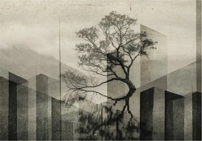 Fotótapéta Flizelin Design Divatos Nyers elegancia 312x219 Ragasztó