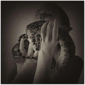 Poszterek 100x100 Aktok Meztelenség Szerelem Fotó